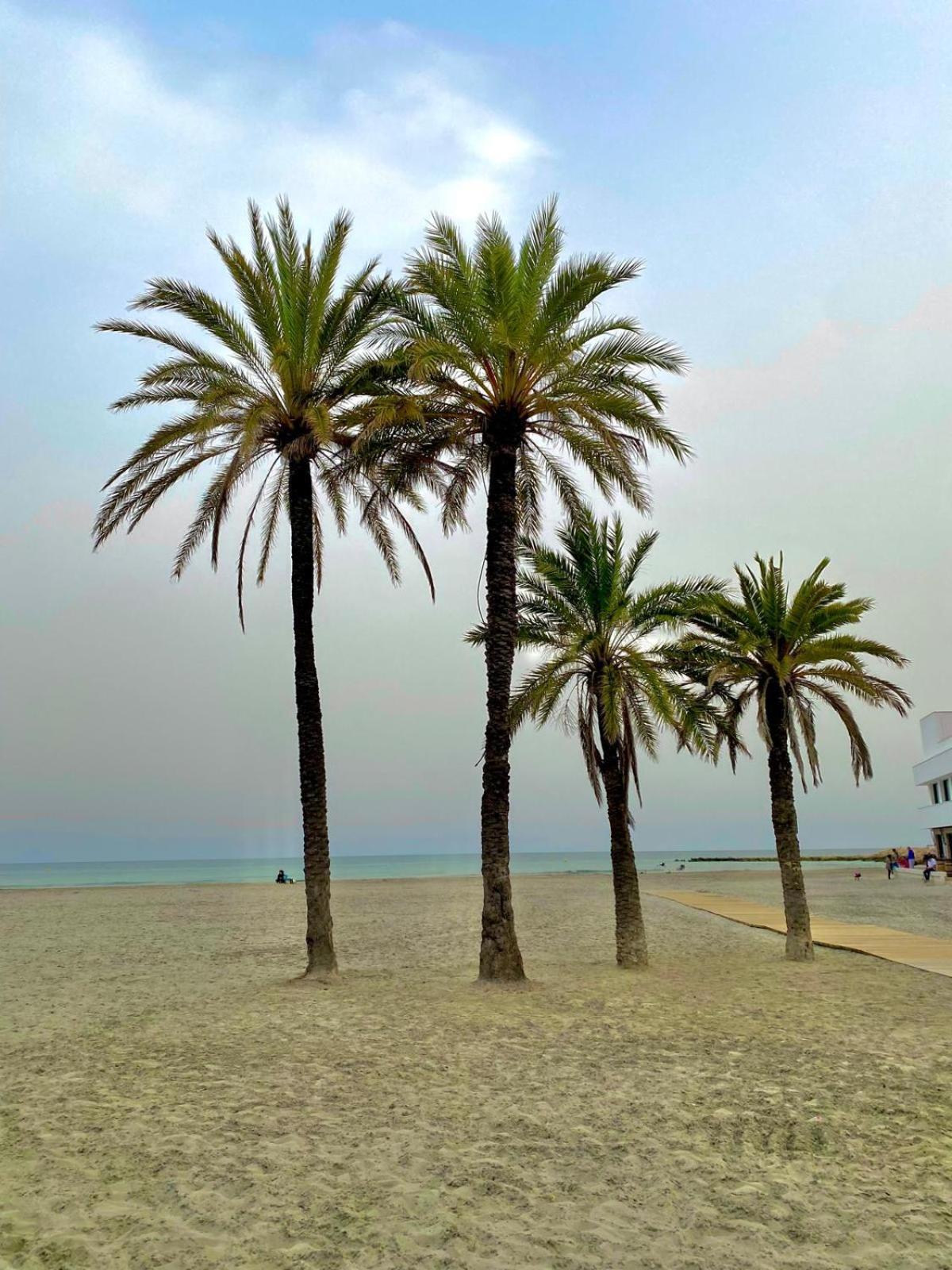 Corazon De Santa Pola Villa Dış mekan fotoğraf