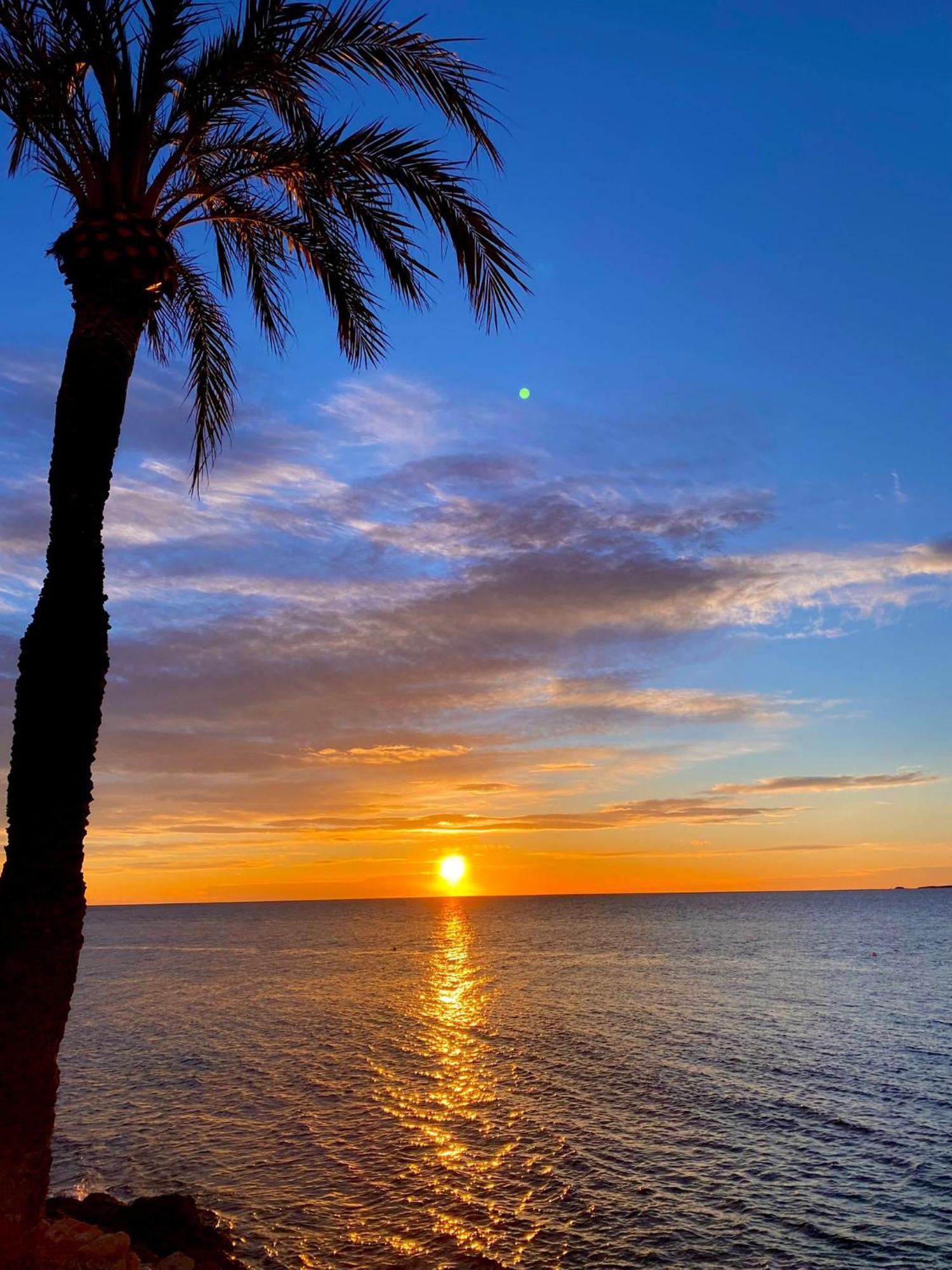 Corazon De Santa Pola Villa Dış mekan fotoğraf